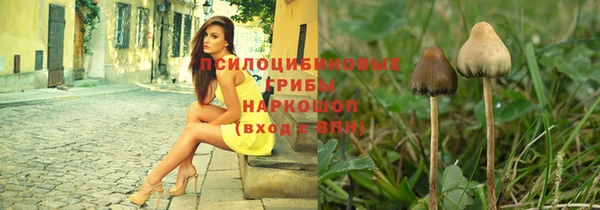 дмт Армянск
