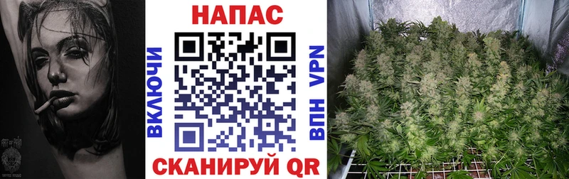 Купить закладки  Остров  Бошки Шишки Ganja 